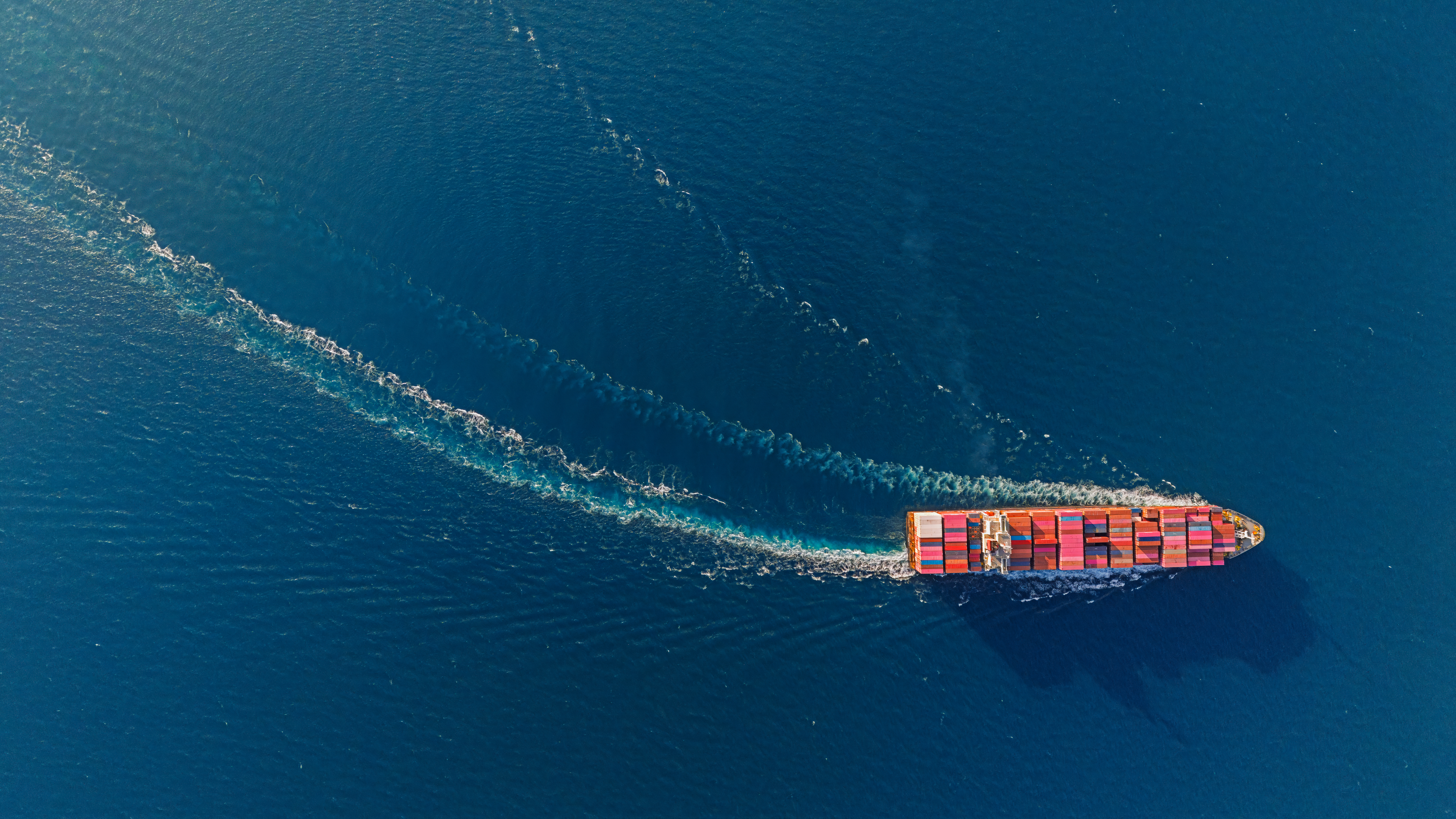 �R���e�i�D