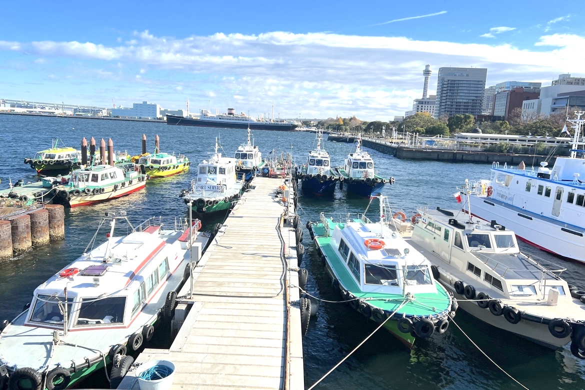 ���C�@�D��