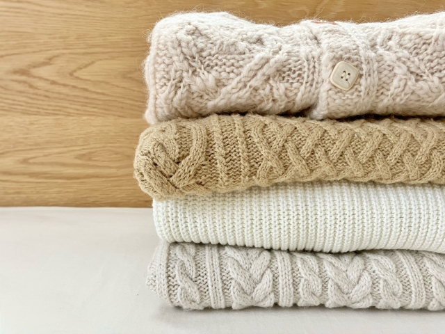 �Z�[�^�[�͗l